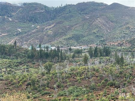 Detail Gallery Image 12 of 15 For 17655 Ford Flat Rd, Cobb,  CA 95426 - – Beds | – Baths