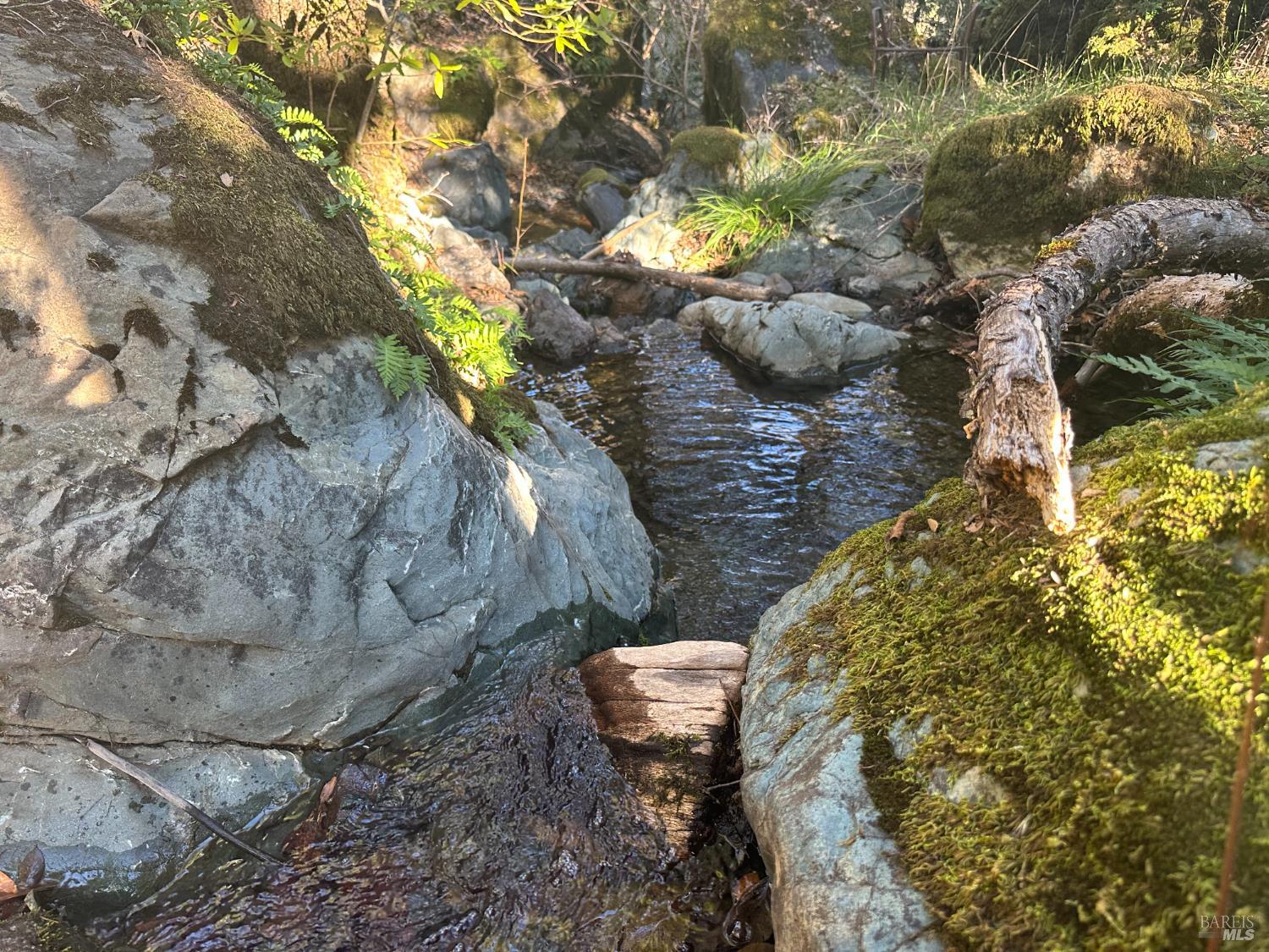 Detail Gallery Image 31 of 49 For Address Is Not Disclosed, Laytonville,  CA 95454 - 1 Beds | 1/1 Baths