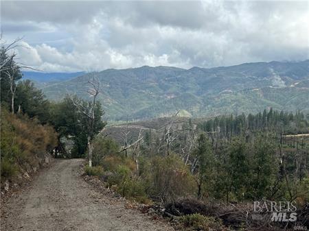 Detail Gallery Image 13 of 15 For 17655 Ford Flat Rd, Cobb,  CA 95426 - – Beds | – Baths