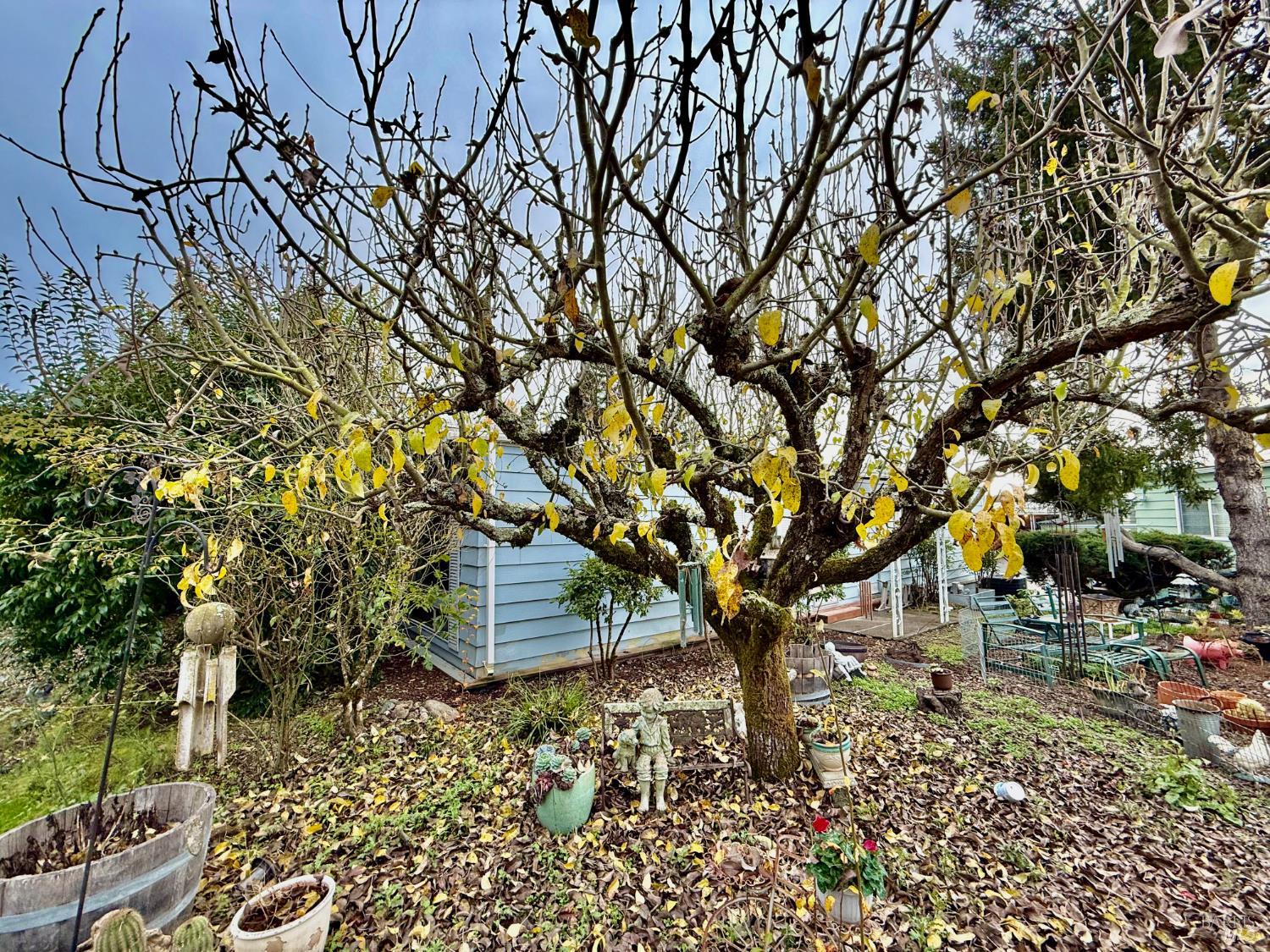 Detail Gallery Image 36 of 36 For 21 Sequoia Cir, Santa Rosa,  CA 95401 - 2 Beds | 2 Baths
