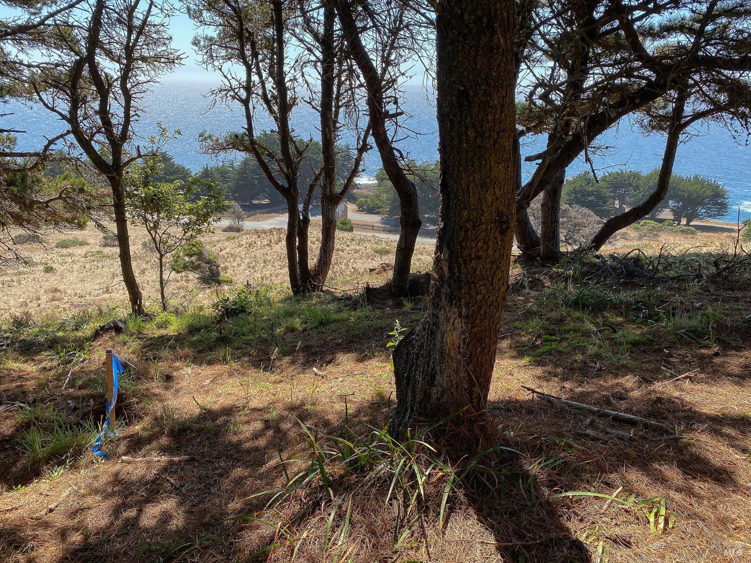 Detail Gallery Image 32 of 35 For 105 Hares Tail Unkn, The Sea Ranch,  CA 95497 - – Beds | – Baths
