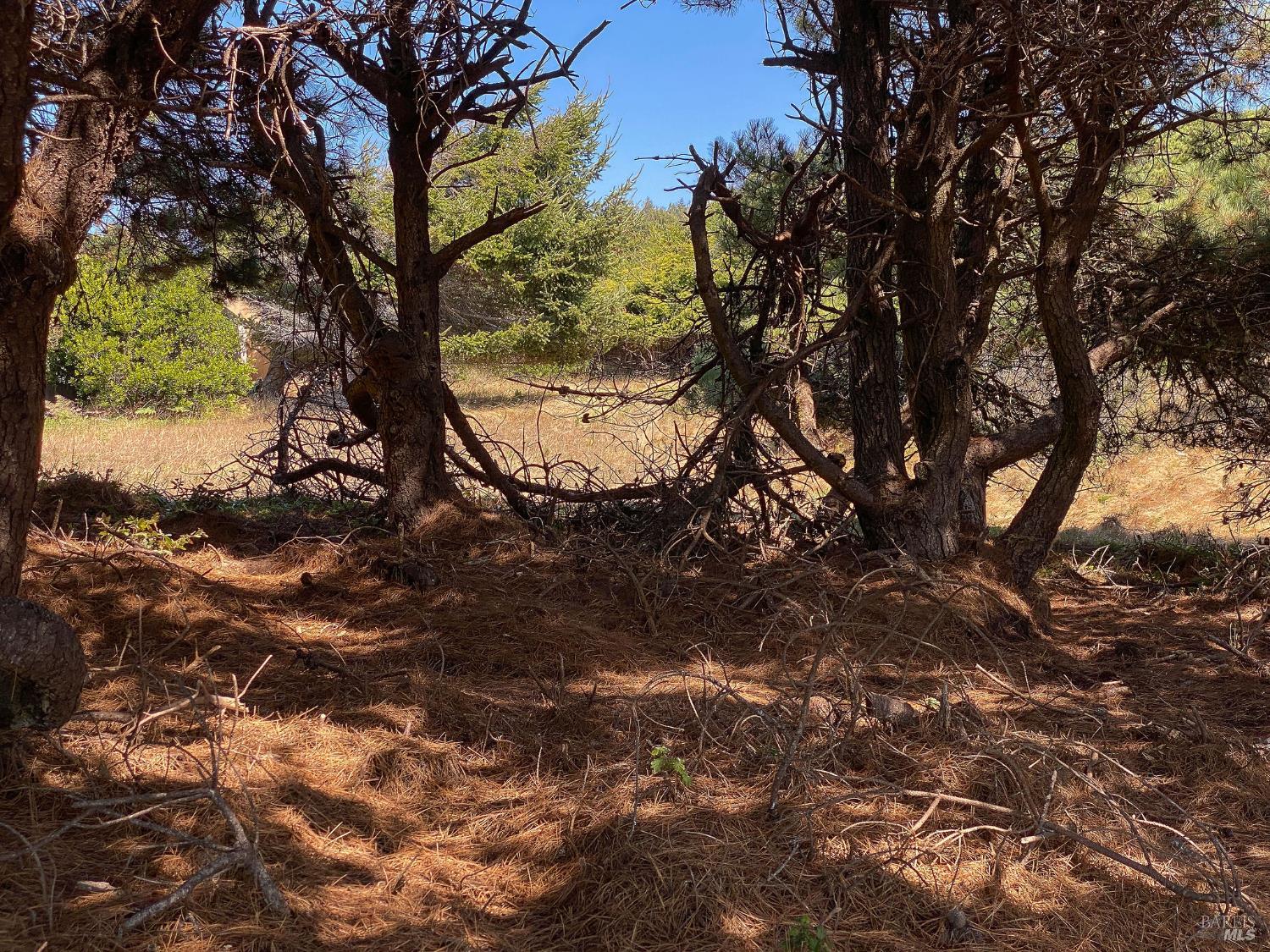 Detail Gallery Image 28 of 35 For 105 Hares Tail Unkn, The Sea Ranch,  CA 95497 - – Beds | – Baths