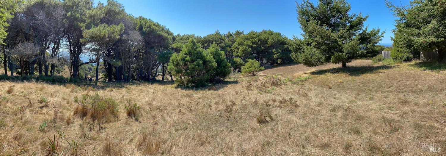 Detail Gallery Image 11 of 35 For 105 Hares Tail Unkn, The Sea Ranch,  CA 95497 - – Beds | – Baths