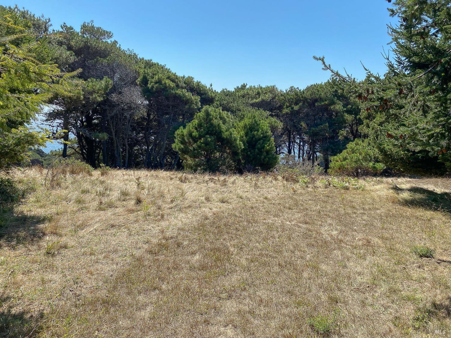 Detail Gallery Image 9 of 35 For 105 Hares Tail Unkn, The Sea Ranch,  CA 95497 - – Beds | – Baths