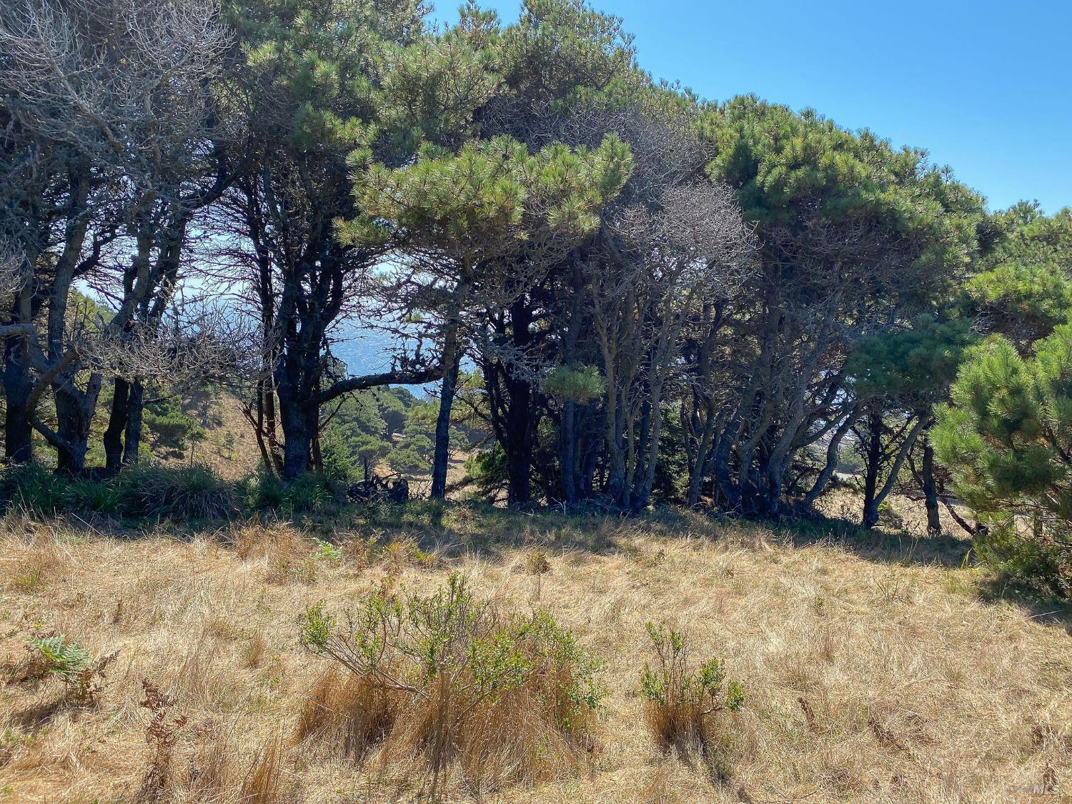 Detail Gallery Image 13 of 35 For 105 Hares Tail Unkn, The Sea Ranch,  CA 95497 - – Beds | – Baths