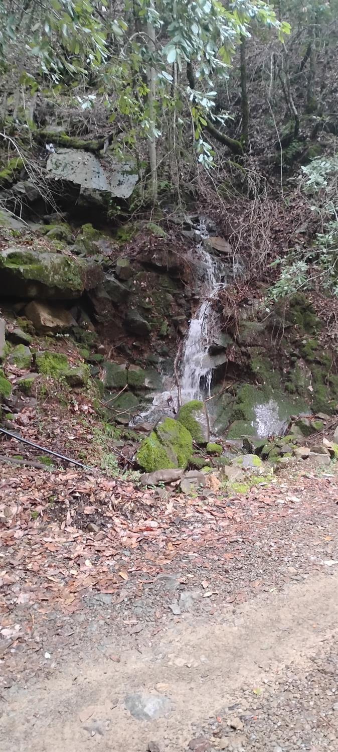 Detail Gallery Image 36 of 36 For 9660 Branscomb Rd, Branscomb,  CA 95417 - – Beds | – Baths