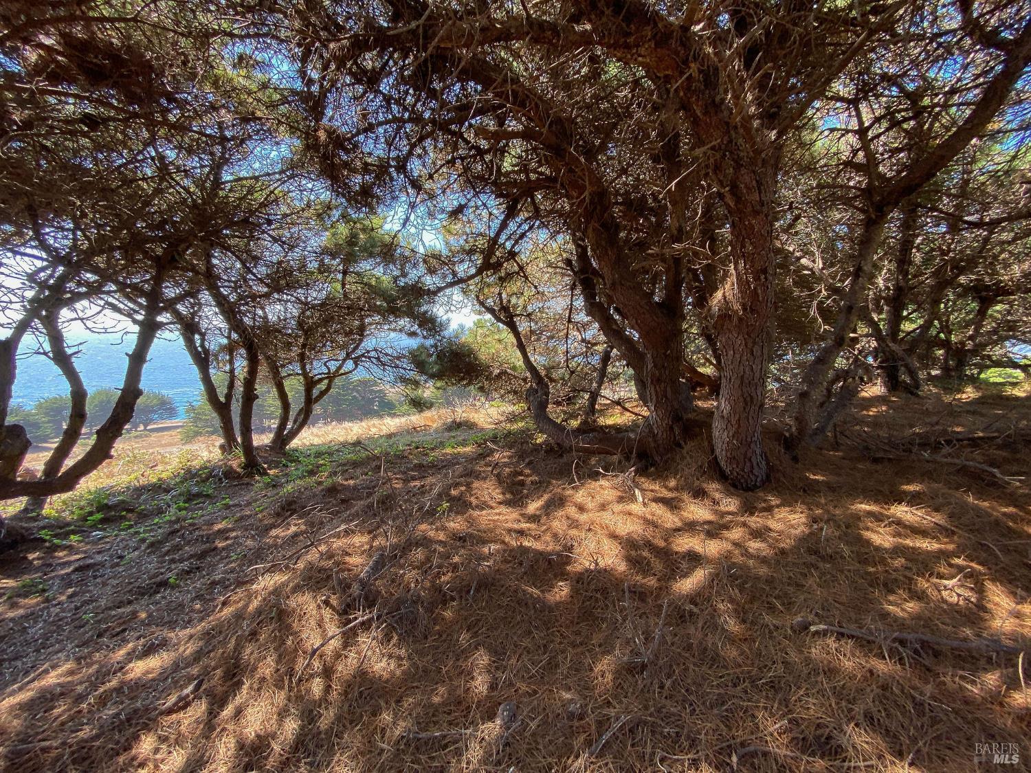 Detail Gallery Image 30 of 35 For 105 Hares Tail Unkn, The Sea Ranch,  CA 95497 - – Beds | – Baths