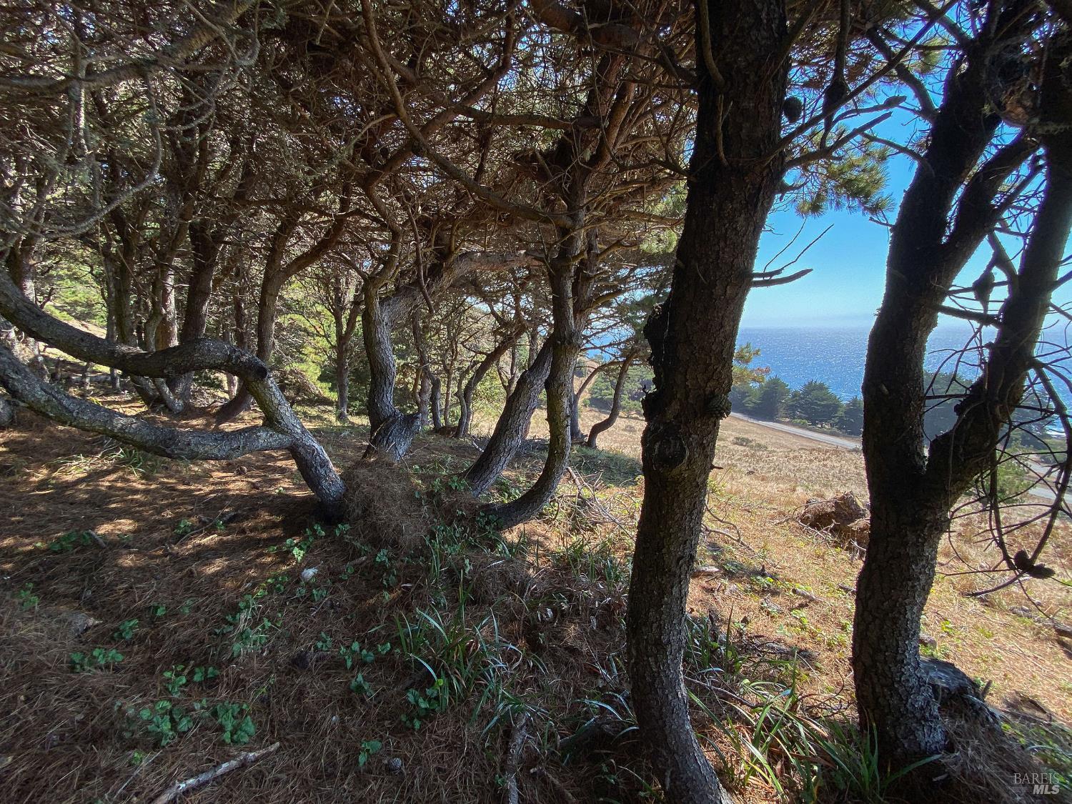 Detail Gallery Image 29 of 35 For 105 Hares Tail Unkn, The Sea Ranch,  CA 95497 - – Beds | – Baths