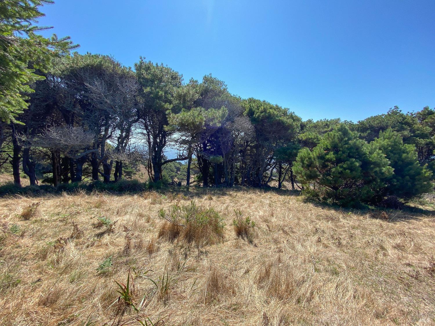 Detail Gallery Image 12 of 35 For 105 Hares Tail Unkn, The Sea Ranch,  CA 95497 - – Beds | – Baths