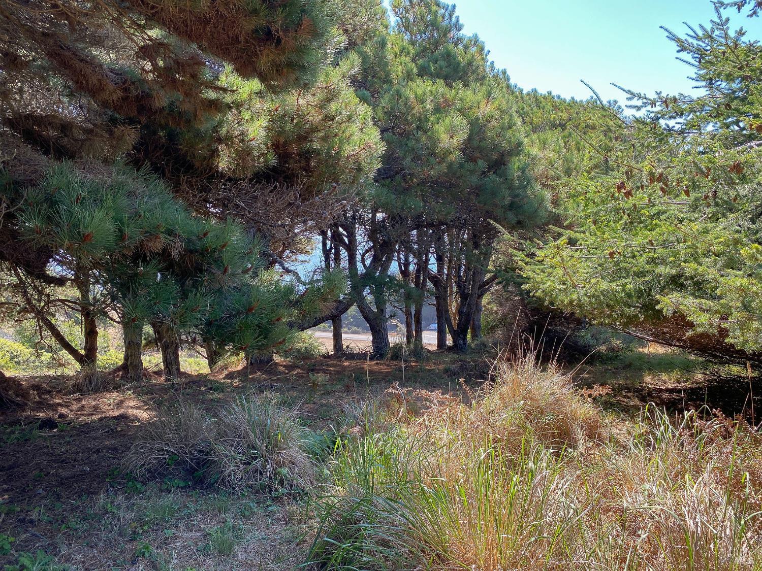 Detail Gallery Image 6 of 35 For 105 Hares Tail Unkn, The Sea Ranch,  CA 95497 - – Beds | – Baths