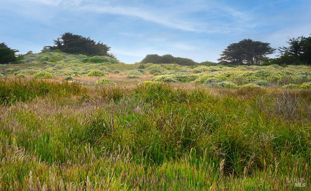 Detail Gallery Image 12 of 15 For 42080 Rock Cod Unkn, The Sea Ranch,  CA 95497 - – Beds | – Baths