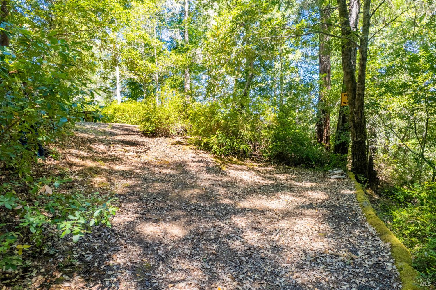 Detail Gallery Image 9 of 12 For 0 16125 Honey Ridge Rd, Boonville,  CA 95415 - – Beds | – Baths