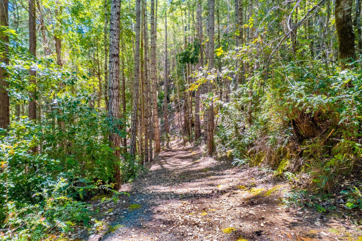 Detail Gallery Image 10 of 12 For 0 16125 Honey Ridge Rd, Boonville,  CA 95415 - – Beds | – Baths