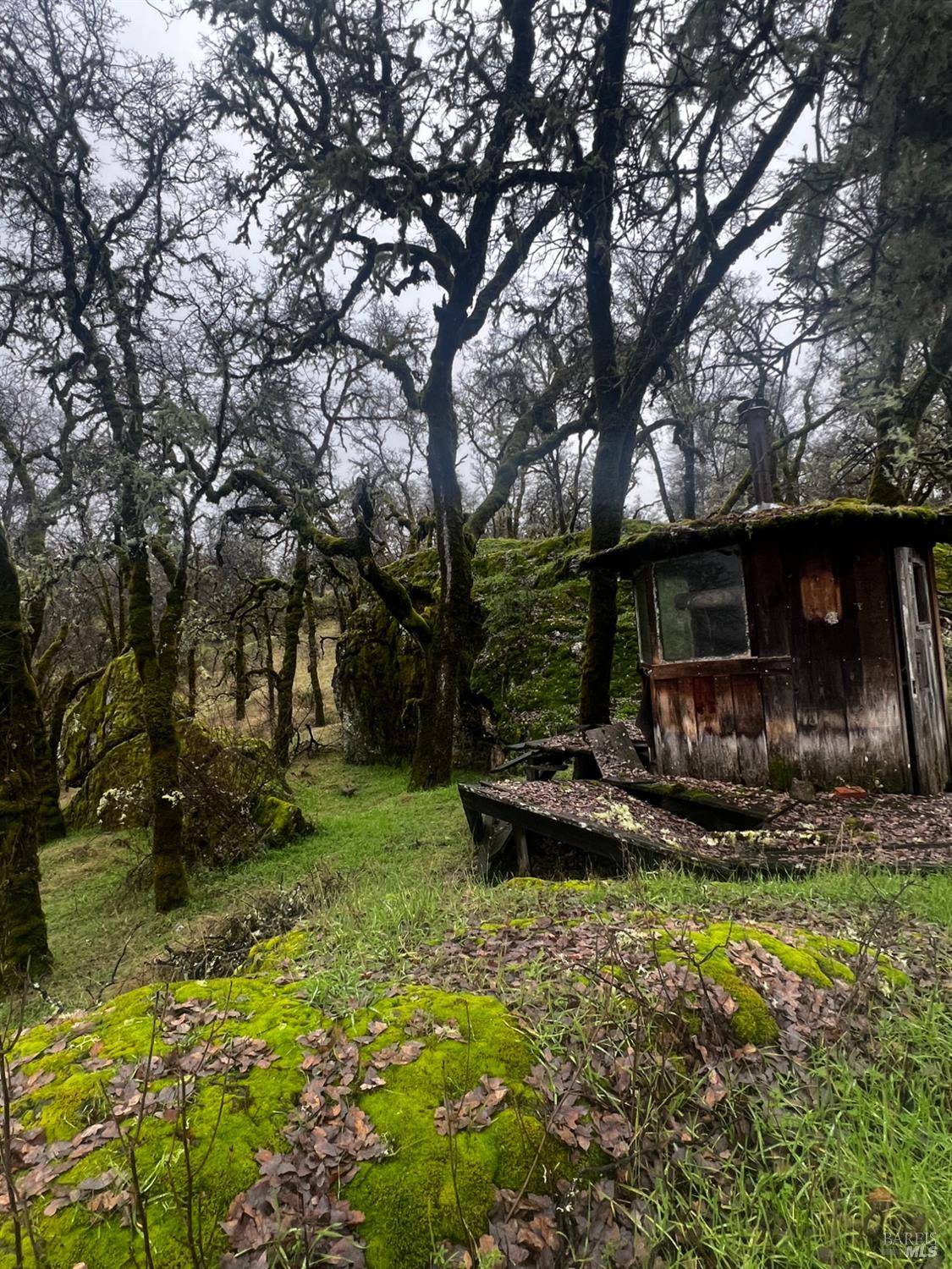 Detail Gallery Image 76 of 77 For 23040 Poonkinney Rd, Covelo,  CA 95428 - 2 Beds | 1 Baths