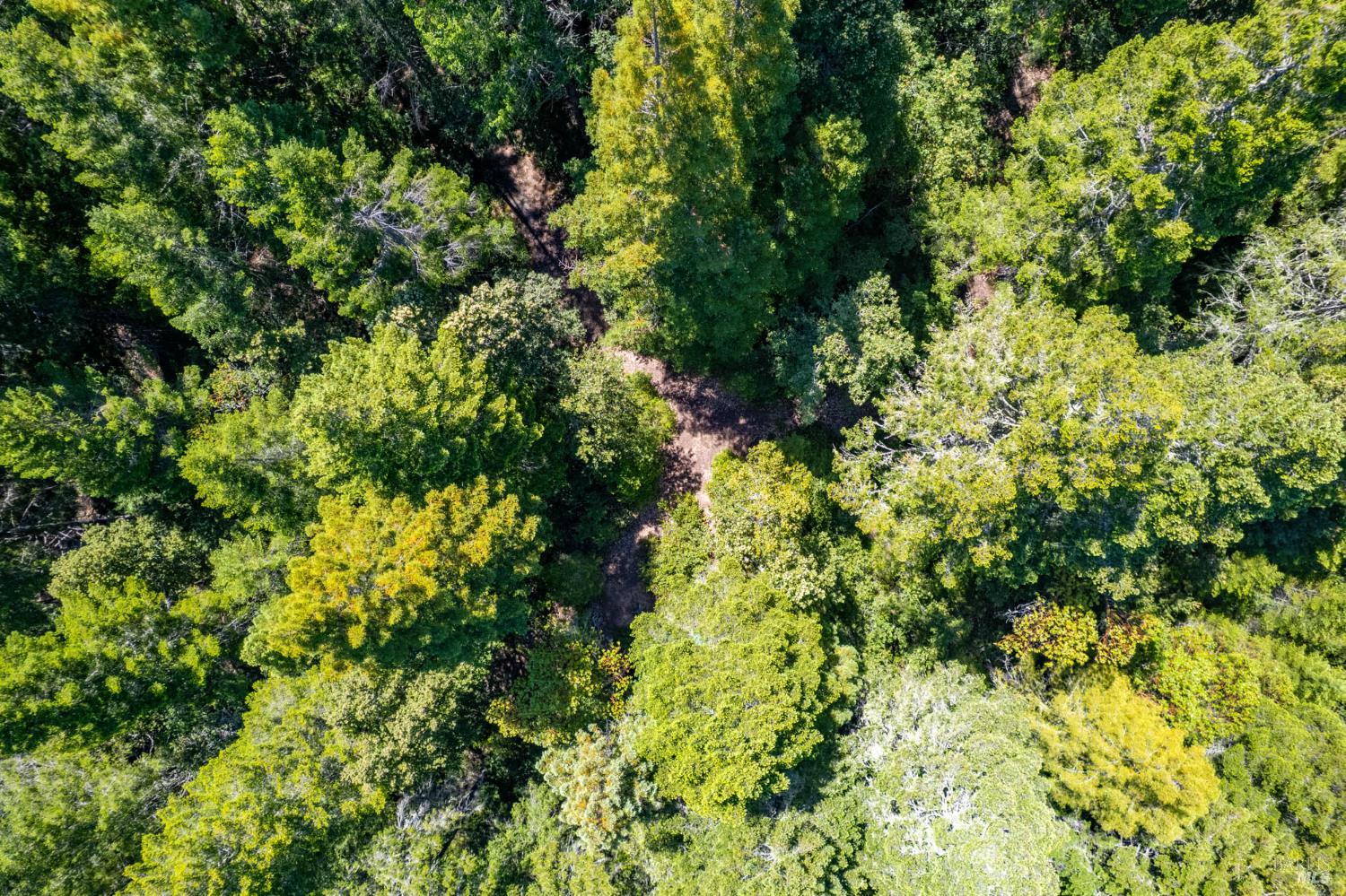 Detail Gallery Image 6 of 12 For 0 16125 Honey Ridge Rd, Boonville,  CA 95415 - – Beds | – Baths