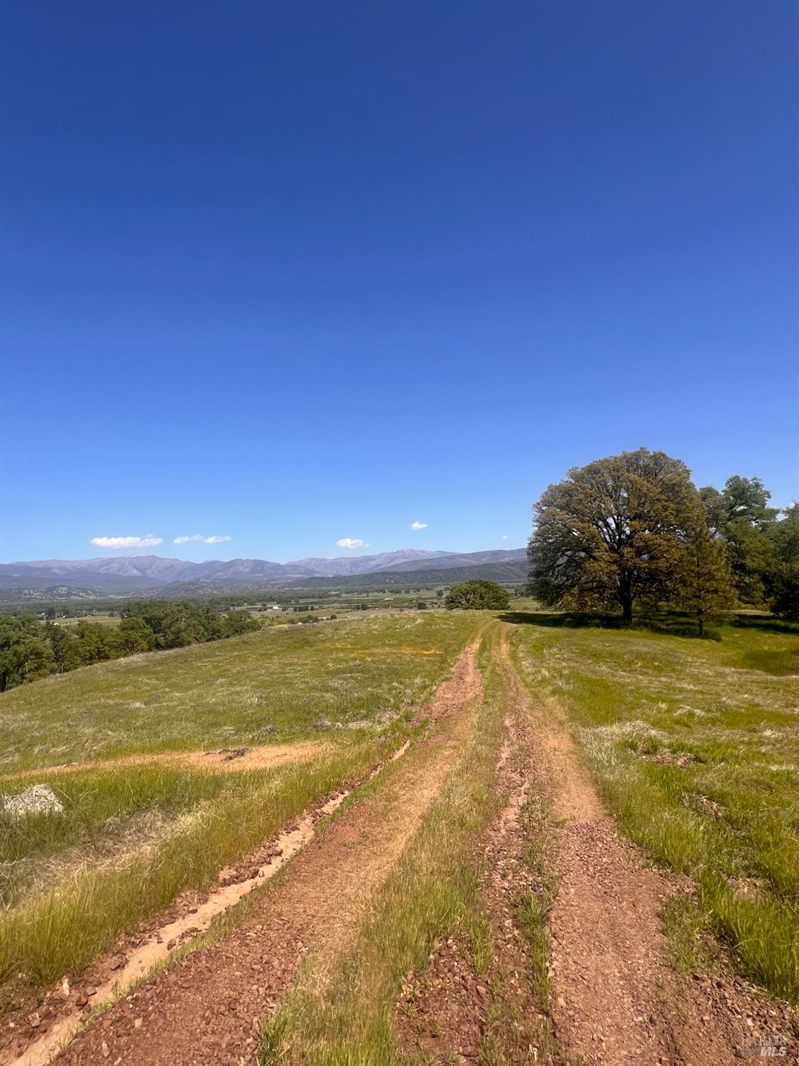 Detail Gallery Image 12 of 77 For 23040 Poonkinney Rd, Covelo,  CA 95428 - 2 Beds | 1 Baths