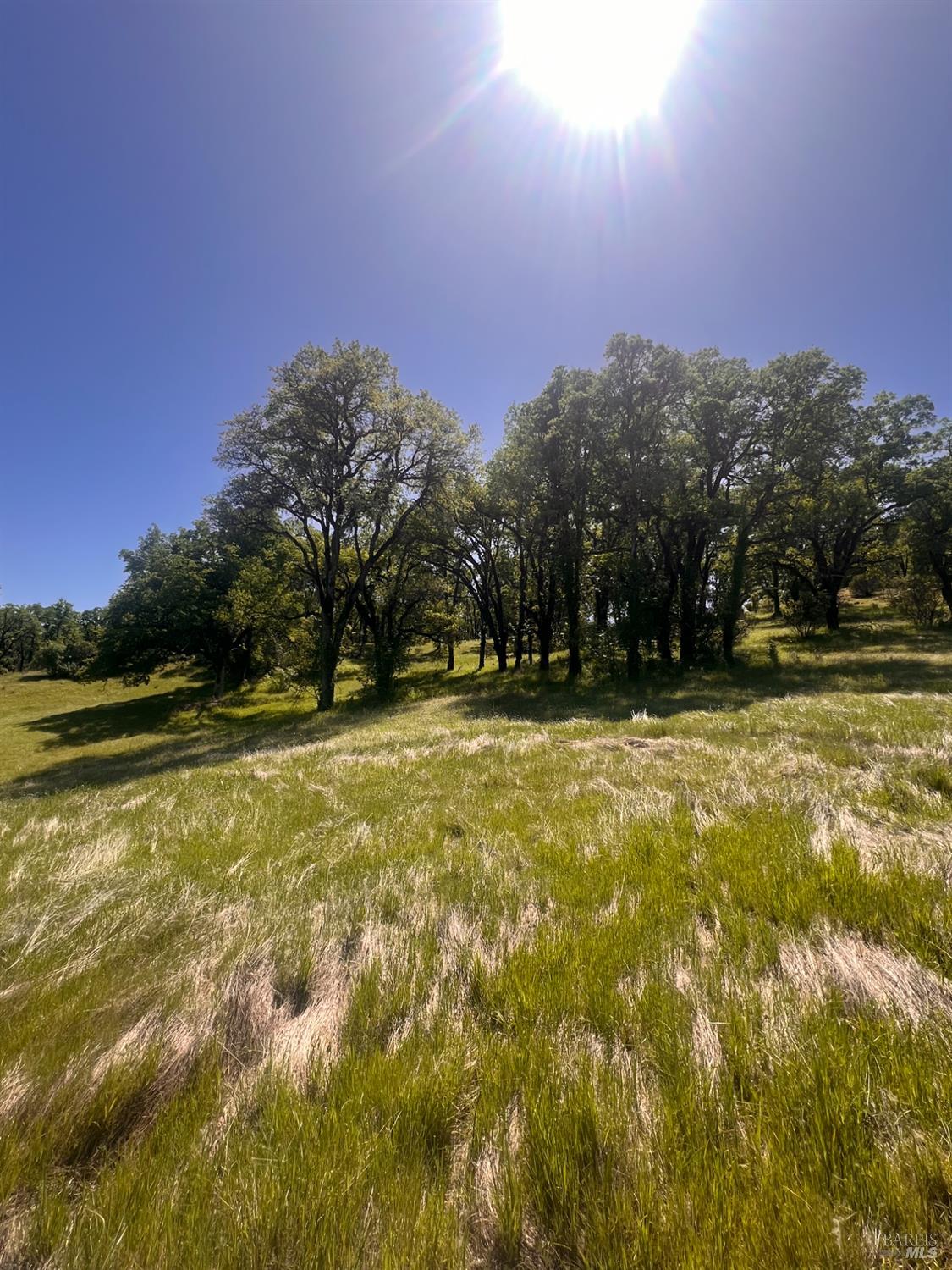 Detail Gallery Image 13 of 77 For 23040 Poonkinney Rd, Covelo,  CA 95428 - 2 Beds | 1 Baths