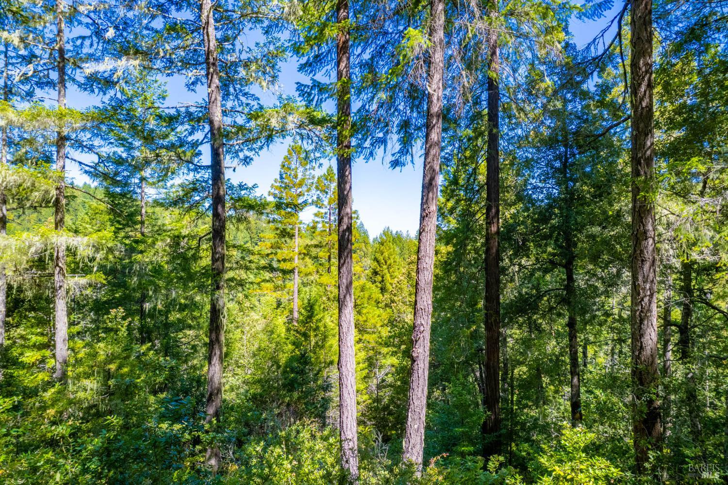 Detail Gallery Image 2 of 12 For 0 16125 Honey Ridge Rd, Boonville,  CA 95415 - – Beds | – Baths