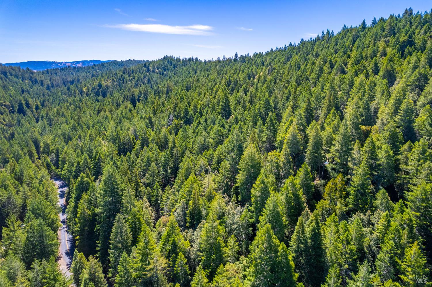 Detail Gallery Image 4 of 12 For 0 16125 Honey Ridge Rd, Boonville,  CA 95415 - – Beds | – Baths