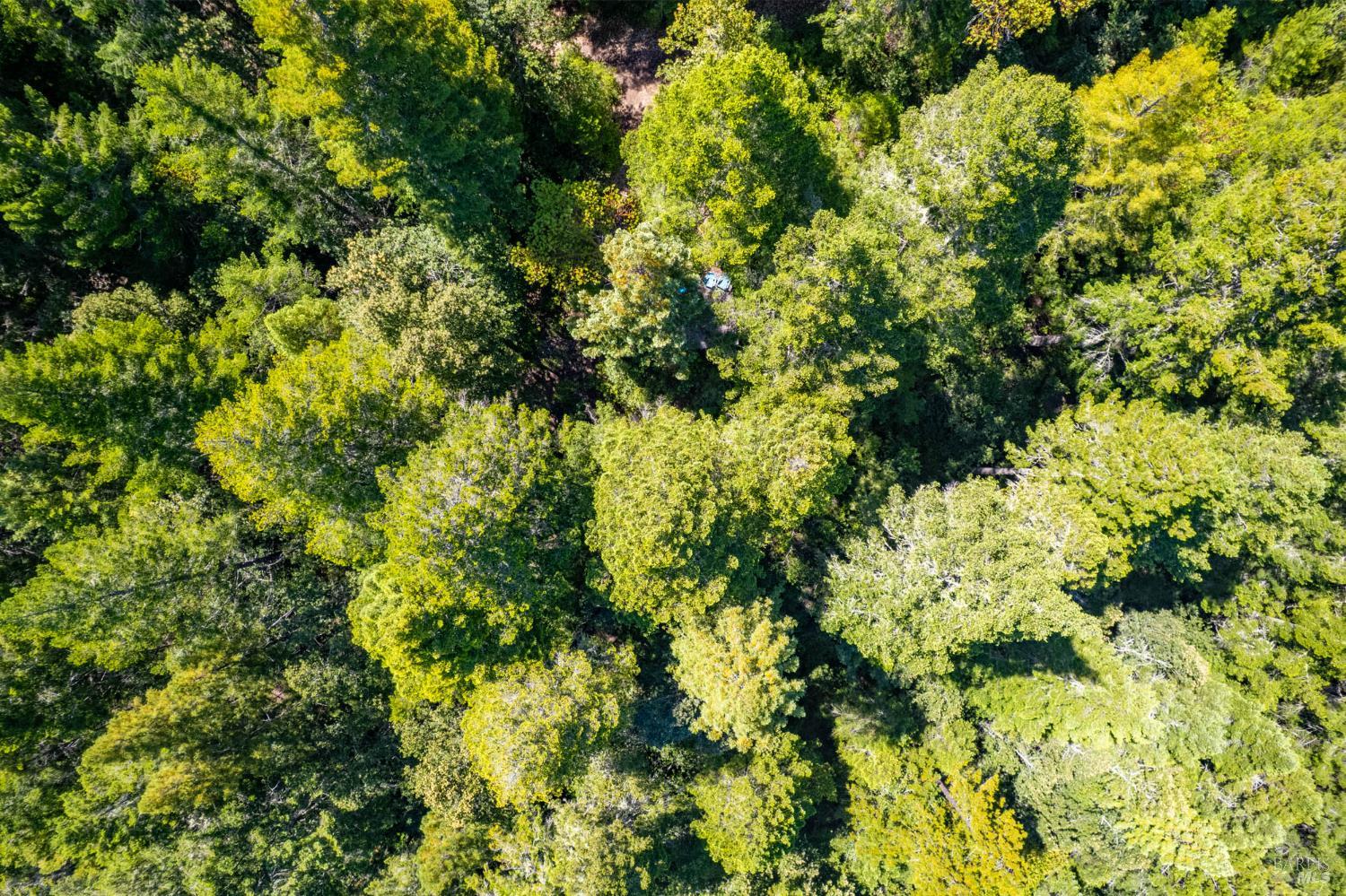 Detail Gallery Image 7 of 12 For 0 16125 Honey Ridge Rd, Boonville,  CA 95415 - – Beds | – Baths