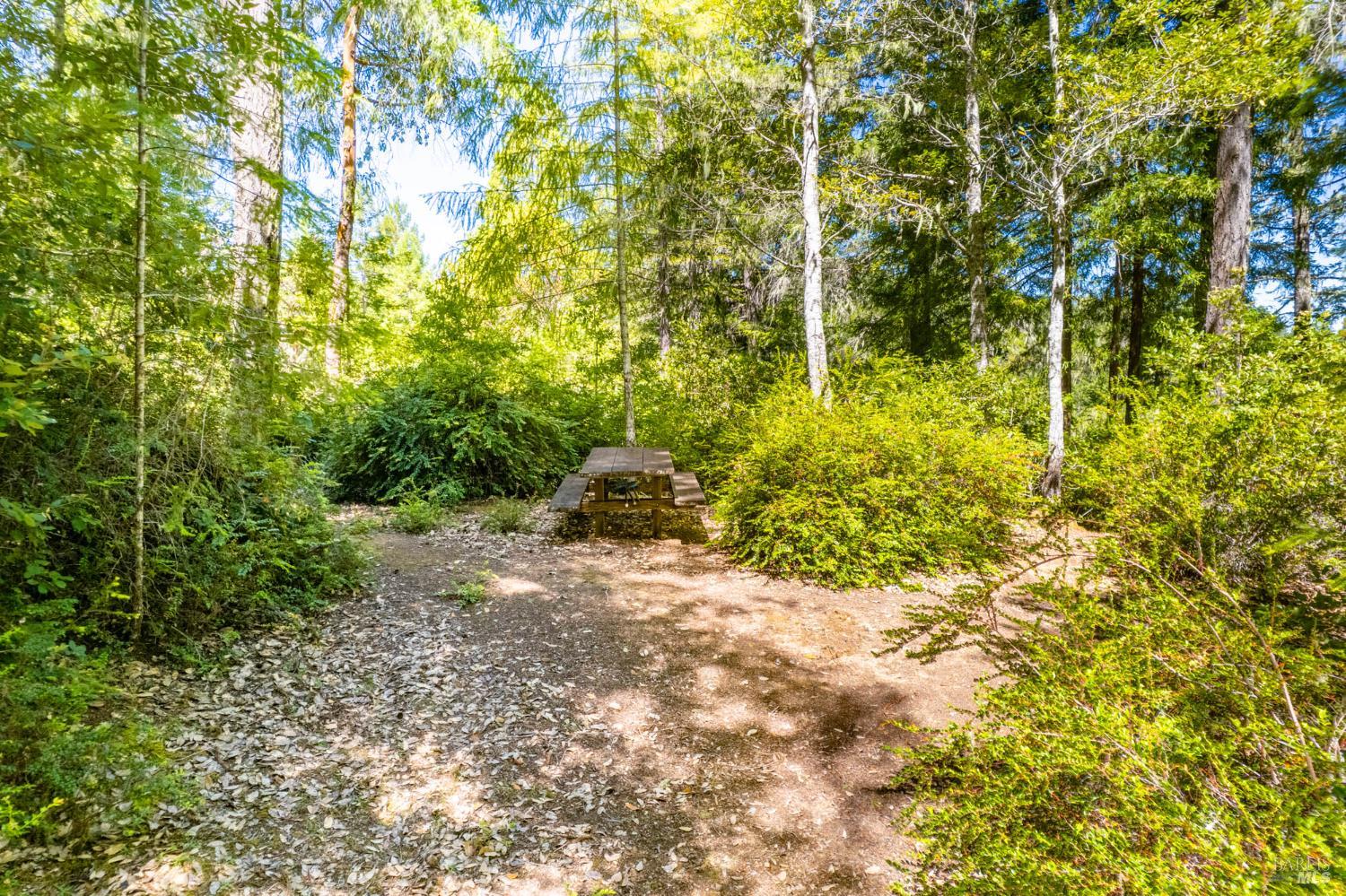 Detail Gallery Image 8 of 12 For 0 16125 Honey Ridge Rd, Boonville,  CA 95415 - – Beds | – Baths