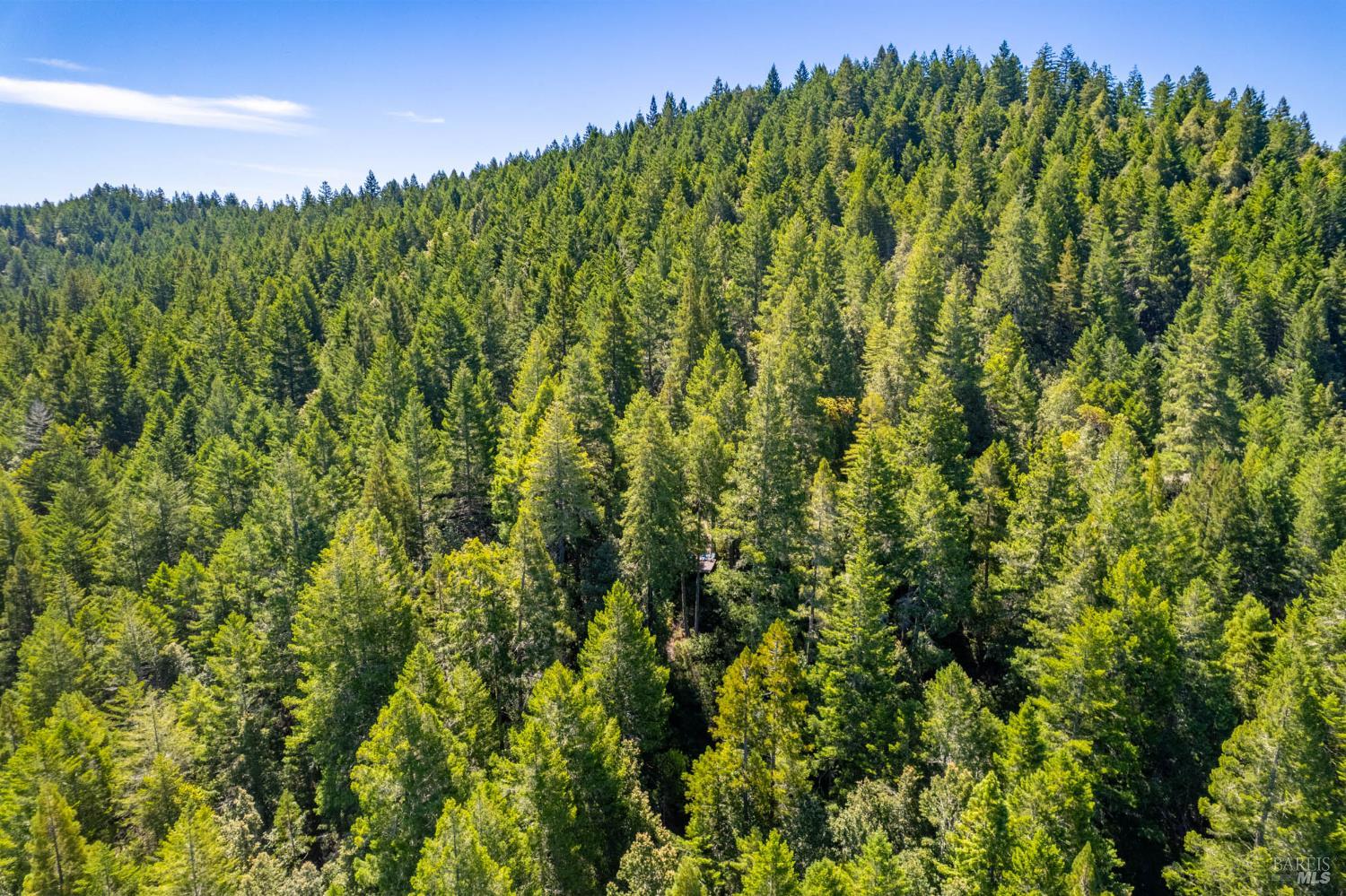 Detail Gallery Image 5 of 12 For 0 16125 Honey Ridge Rd, Boonville,  CA 95415 - – Beds | – Baths