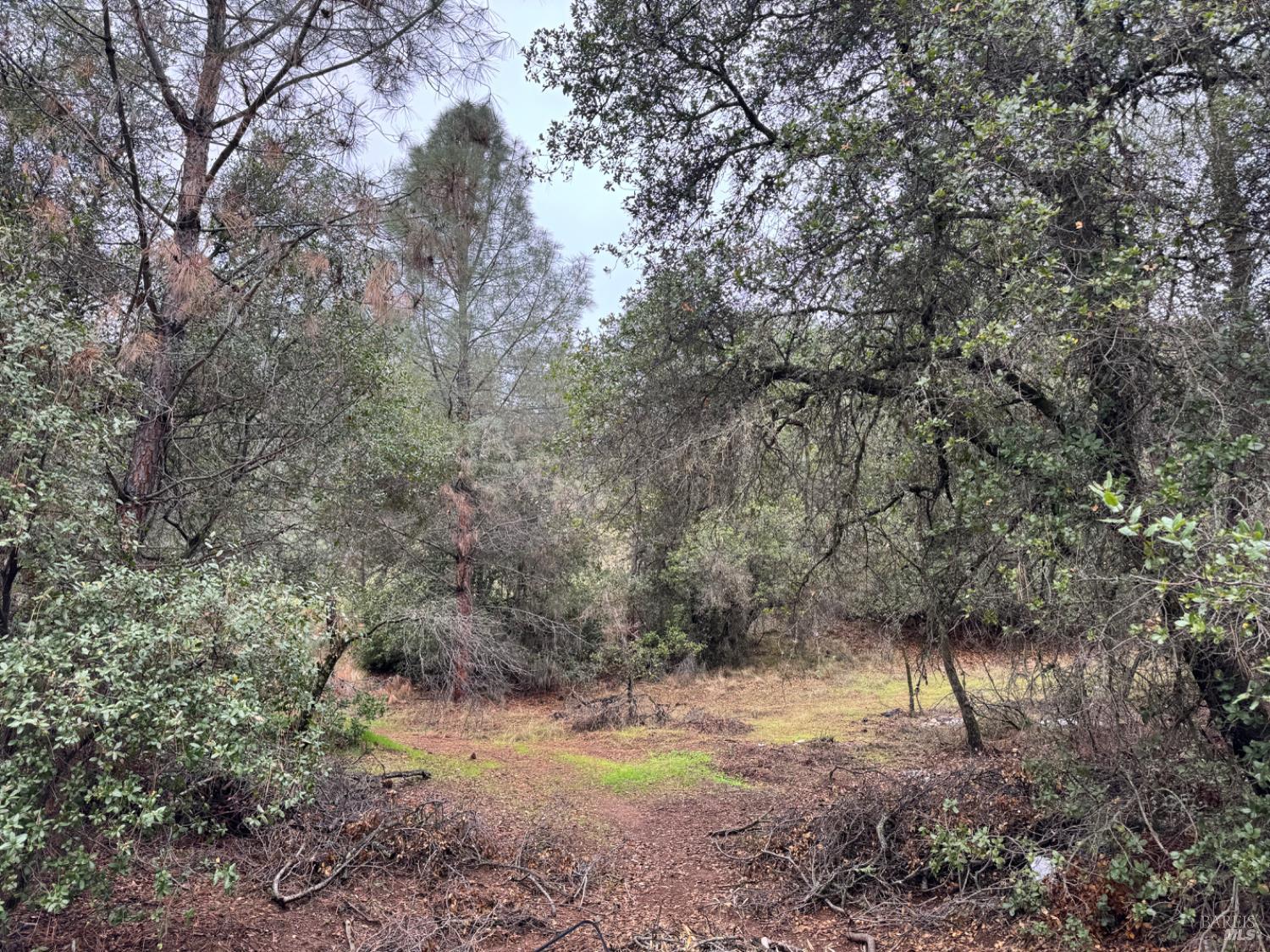 Detail Gallery Image 3 of 23 For 12332 Mountain View Dr, Clearlake Oaks,  CA 95423 - – Beds | – Baths