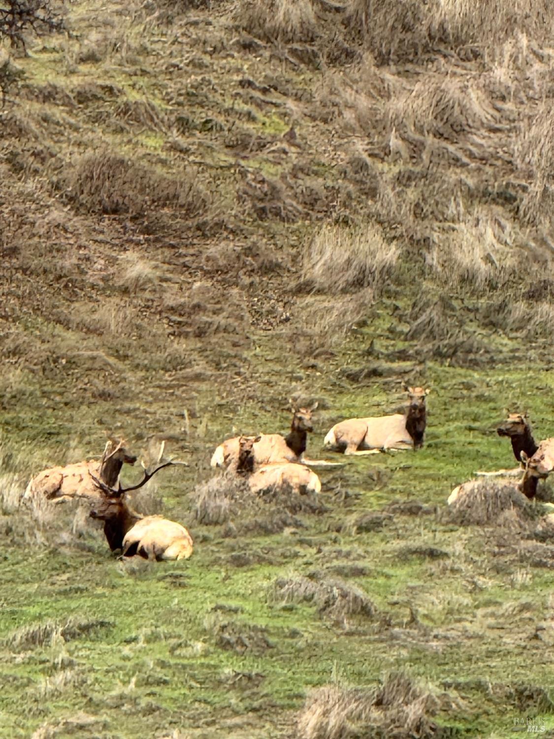 Detail Gallery Image 8 of 23 For 12332 Mountain View Dr, Clearlake Oaks,  CA 95423 - – Beds | – Baths