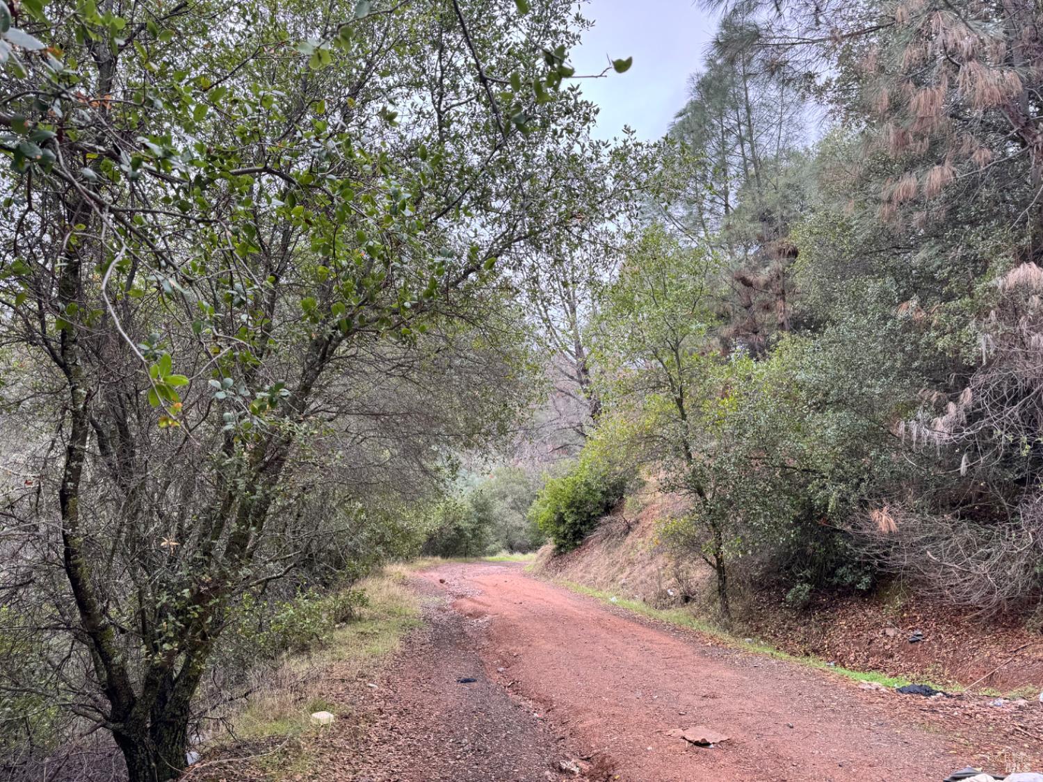 Detail Gallery Image 2 of 23 For 12332 Mountain View Dr, Clearlake Oaks,  CA 95423 - – Beds | – Baths