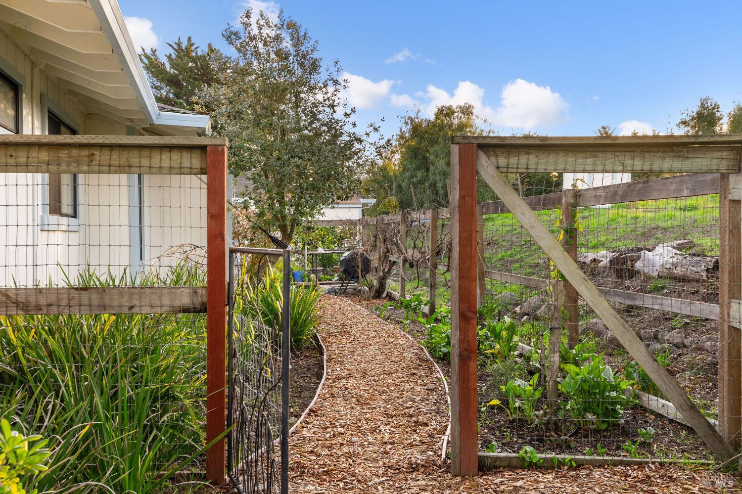 Detail Gallery Image 50 of 65 For 2850 Western Ave, Petaluma,  CA 94952 - 4 Beds | 3 Baths