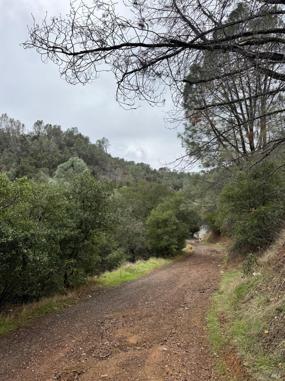 Detail Gallery Image 6 of 23 For 12336 Mountain View Dr, Clearlake Oaks,  CA 95423 - – Beds | – Baths