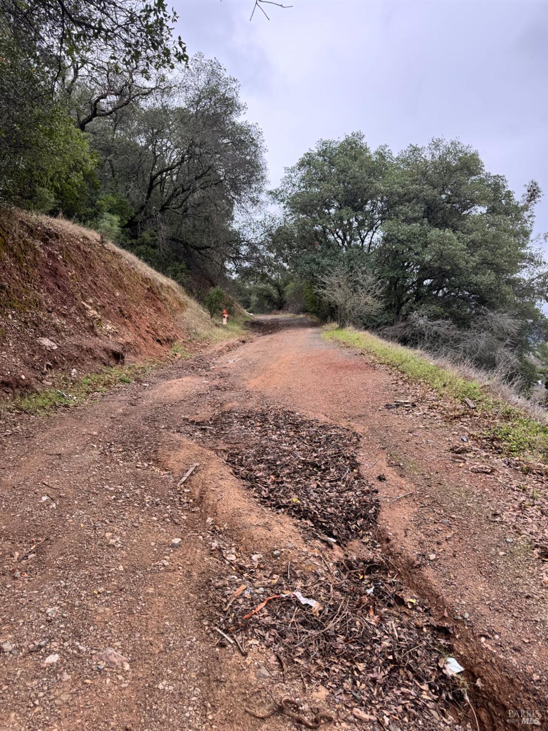 Detail Gallery Image 19 of 23 For 12332 Mountain View Dr, Clearlake Oaks,  CA 95423 - – Beds | – Baths