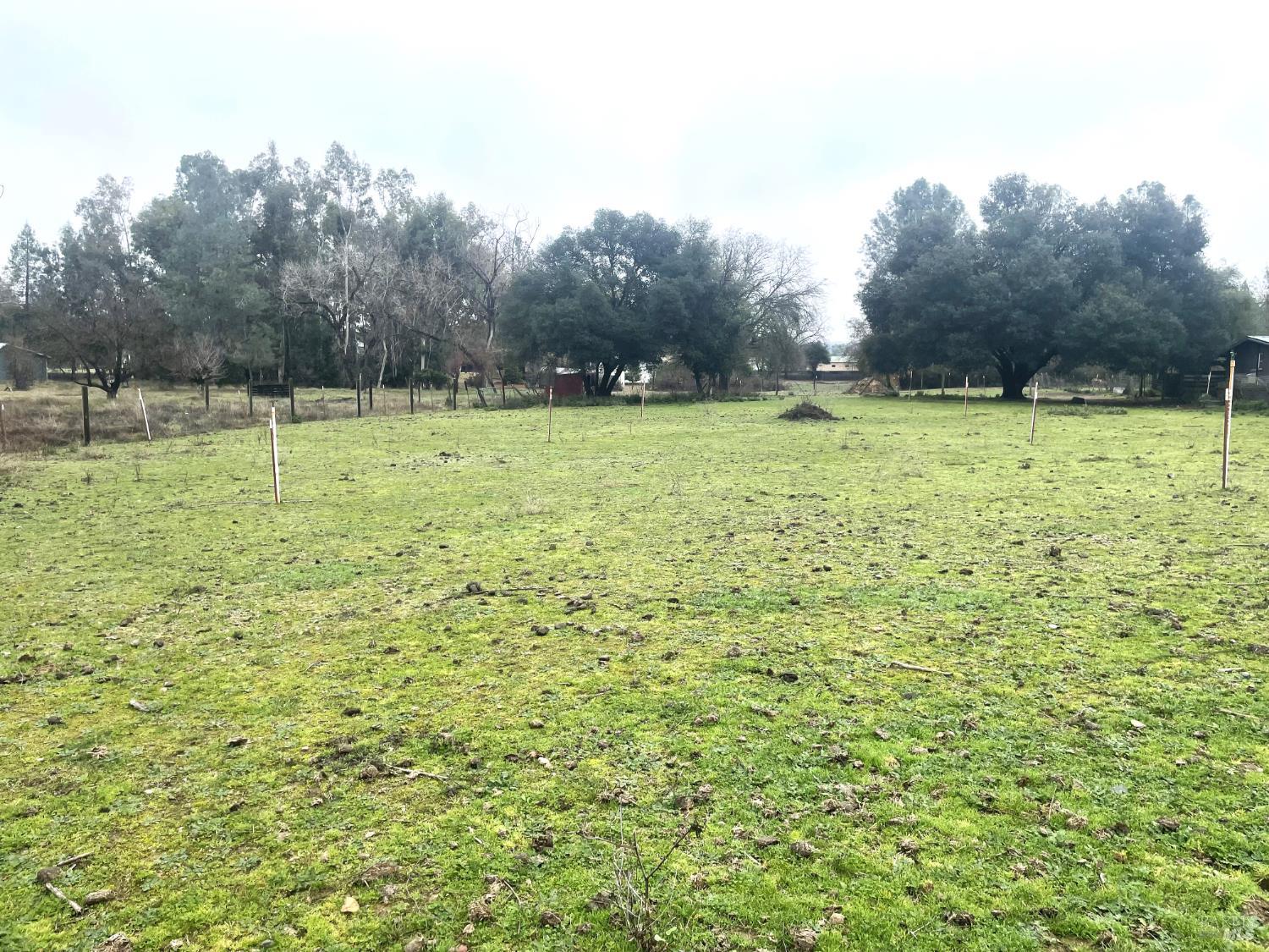 Detail Gallery Image 28 of 44 For 2865 Bell Hill Rd, Kelseyville,  CA 95451 - 2 Beds | 2 Baths