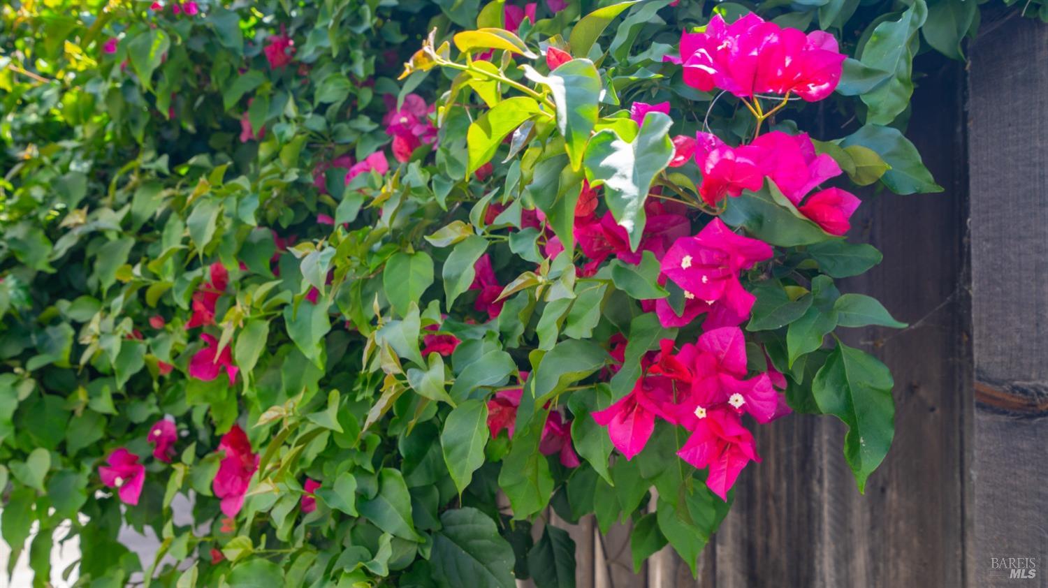 Detail Gallery Image 36 of 36 For 214 Arrowhead Dr, Vacaville,  CA 95687 - 4 Beds | 2 Baths