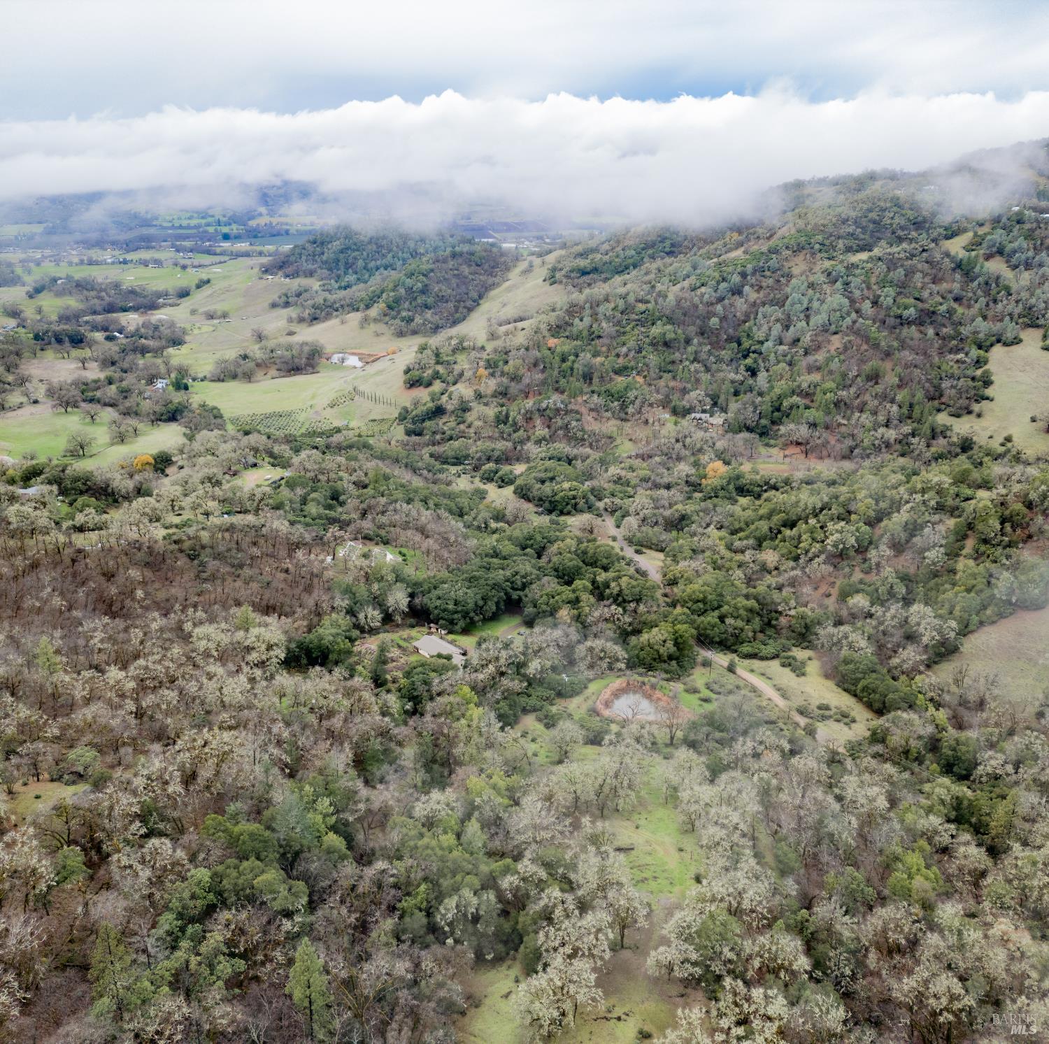 Detail Gallery Image 16 of 24 For 12850 Pine Ave, Potter Valley,  CA 95469 - 3 Beds | 2 Baths