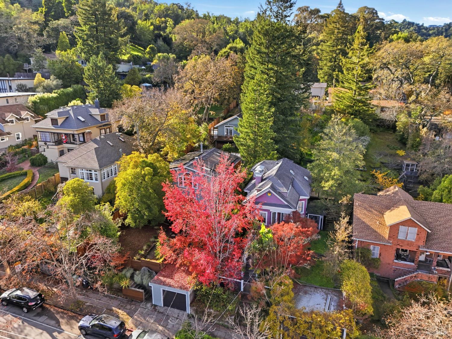 Detail Gallery Image 50 of 56 For 221 D St, San Rafael,  CA 94901 - 3 Beds | 2 Baths