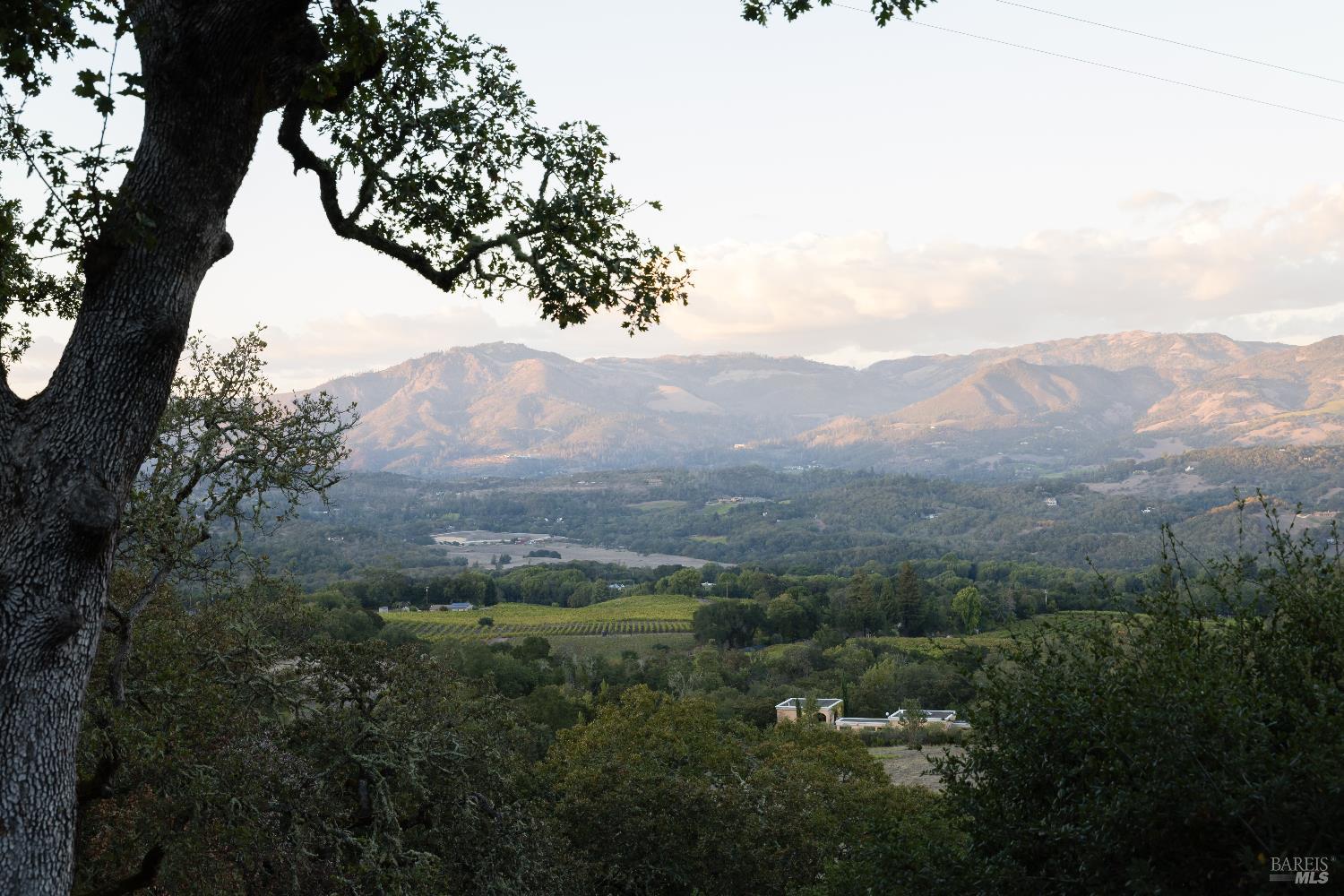 Front Image Thumbnail for BA325103644