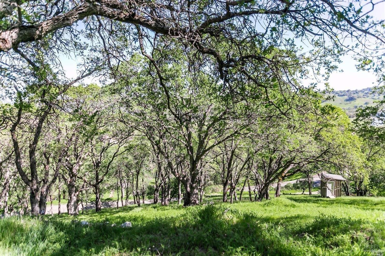 Detail Gallery Image 8 of 10 For 6953 La Vera Ct, Vacaville,  CA 95688 - – Beds | – Baths