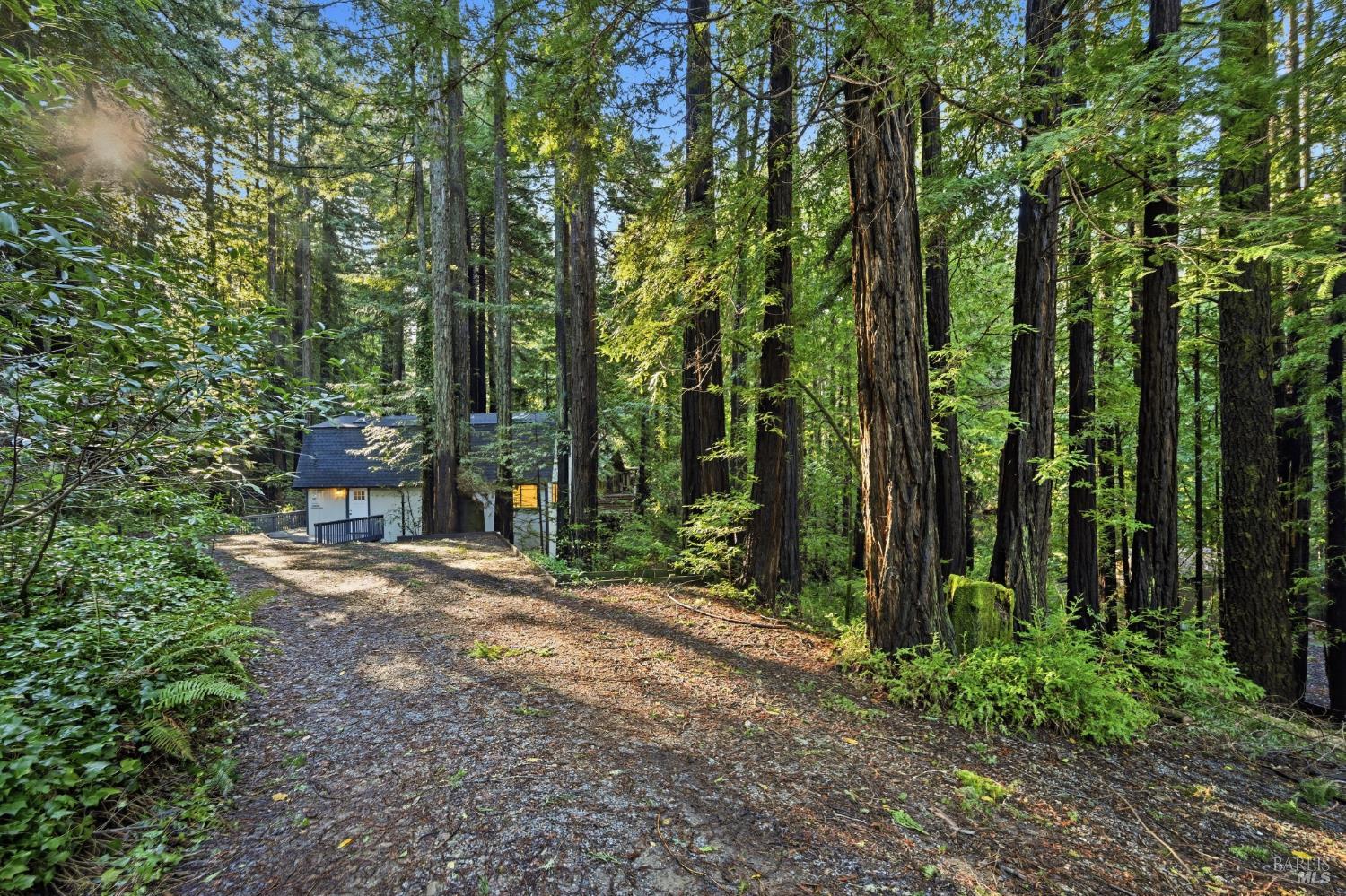 Detail Gallery Image 20 of 21 For 55 Silvia Dr, Cazadero,  CA 95421 - 2 Beds | 2 Baths