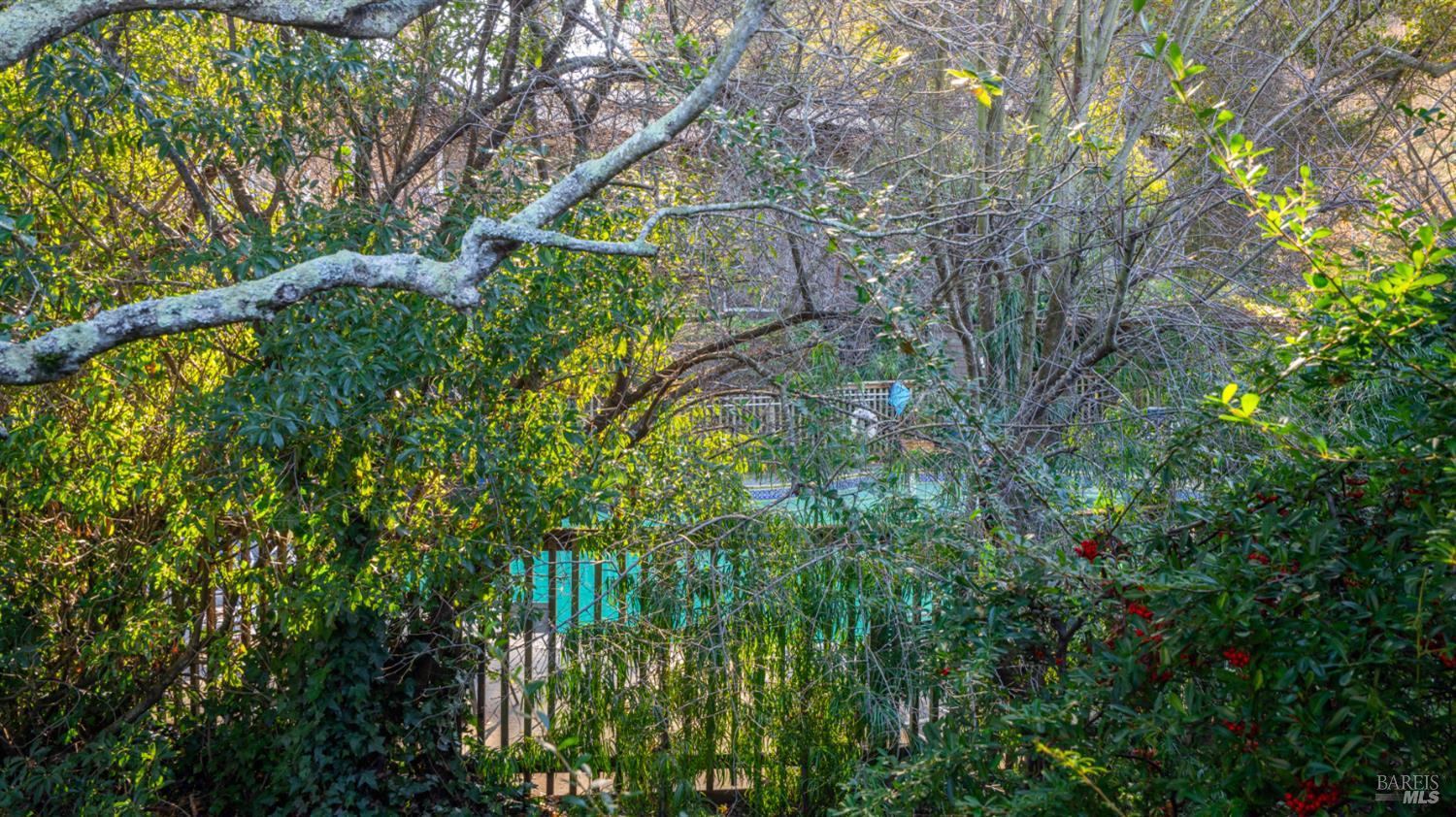 Detail Gallery Image 35 of 46 For 1411 Casa Buena Dr #45,  Corte Madera,  CA 94925 - 2 Beds | 1 Baths