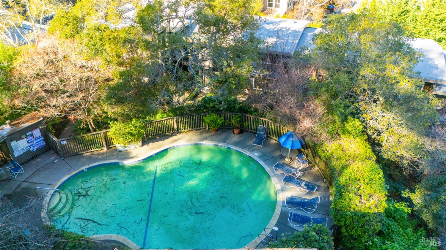 Detail Gallery Image 41 of 46 For 1411 Casa Buena Dr #45,  Corte Madera,  CA 94925 - 2 Beds | 1 Baths