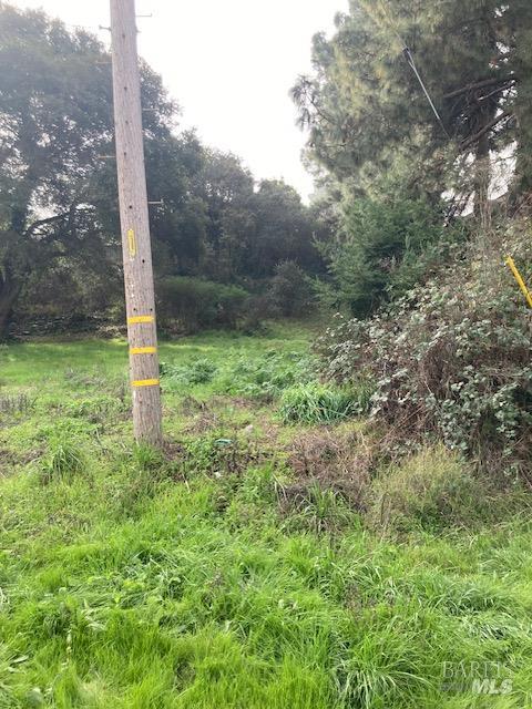 Detail Gallery Image 4 of 6 For 0 Hazel St, Pinole,  CA 94564 - – Beds | – Baths