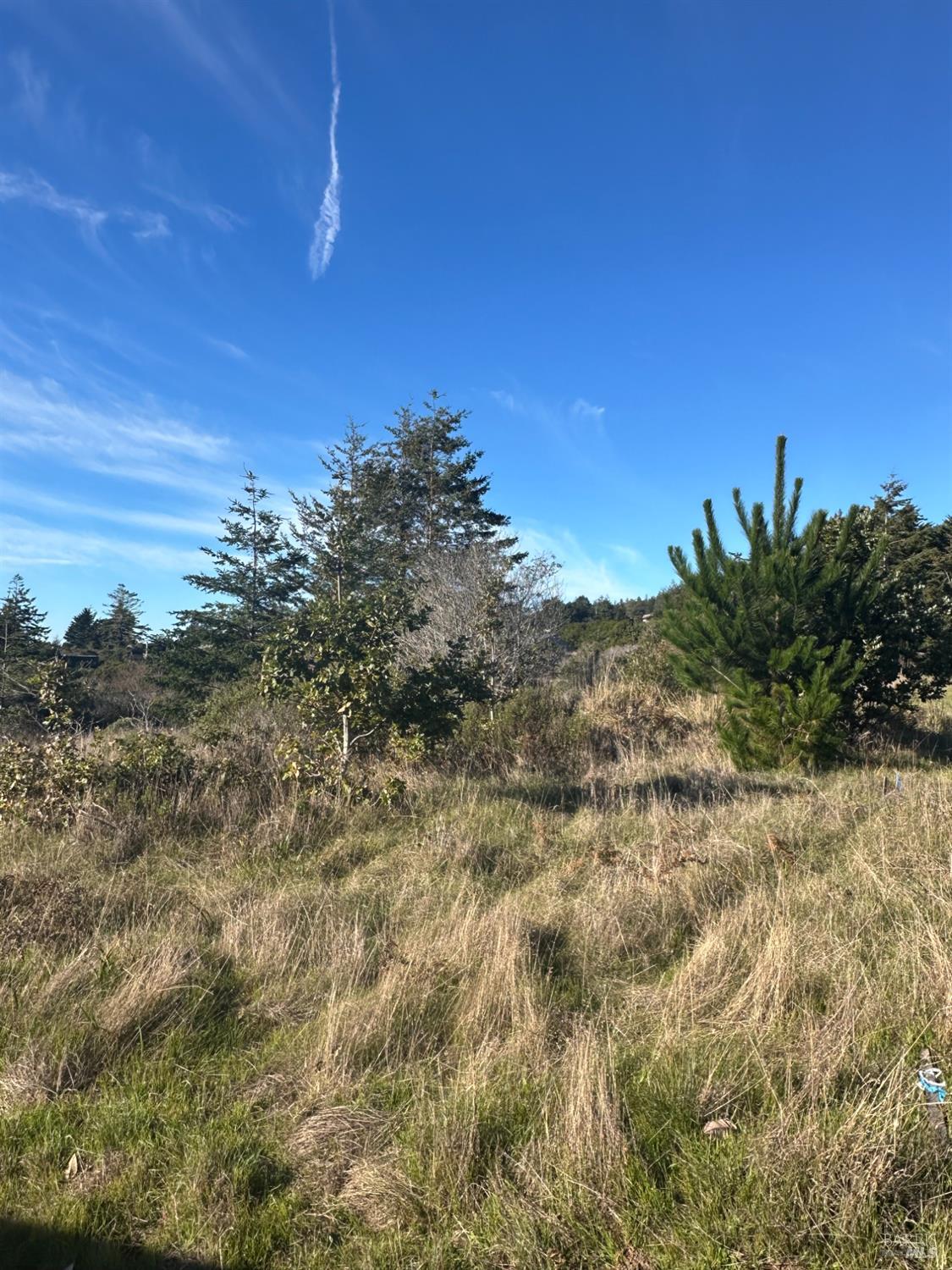 Detail Gallery Image 2 of 11 For 38240 Green Vale Close Unkn, The Sea Ranch,  CA 95497 - – Beds | – Baths