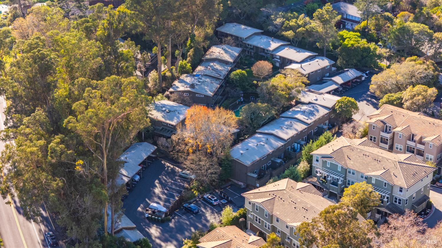 Detail Gallery Image 45 of 46 For 1411 Casa Buena Dr #45,  Corte Madera,  CA 94925 - 2 Beds | 1 Baths