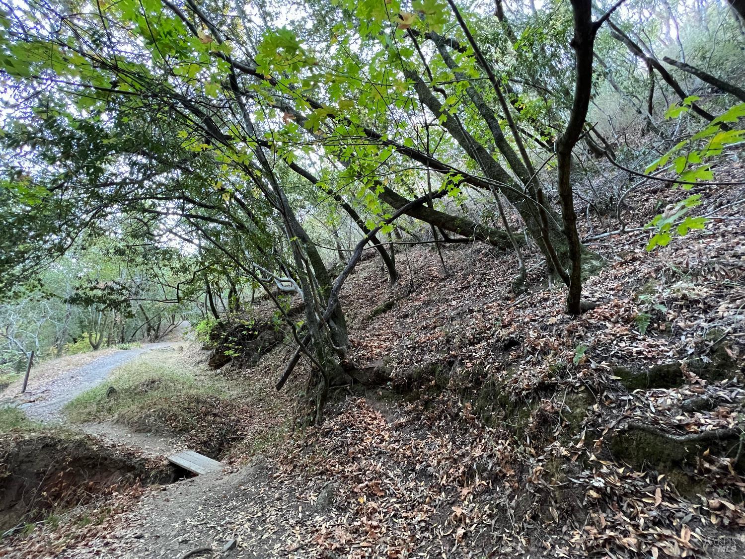 Detail Gallery Image 10 of 10 For 0 Cypress Dr, Fairfax,  CA 94930 - – Beds | – Baths