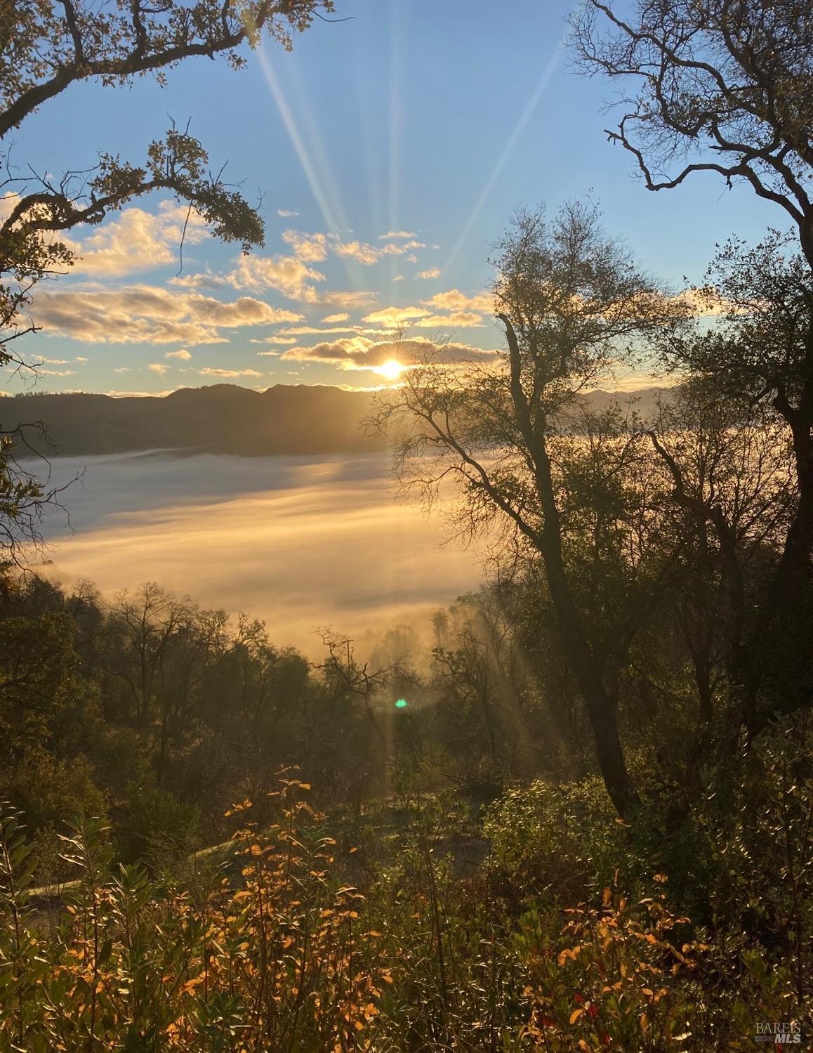 Detail Gallery Image 20 of 23 For Address Is Not Disclosed, Redwood Valley,  CA 95470 - – Beds | – Baths