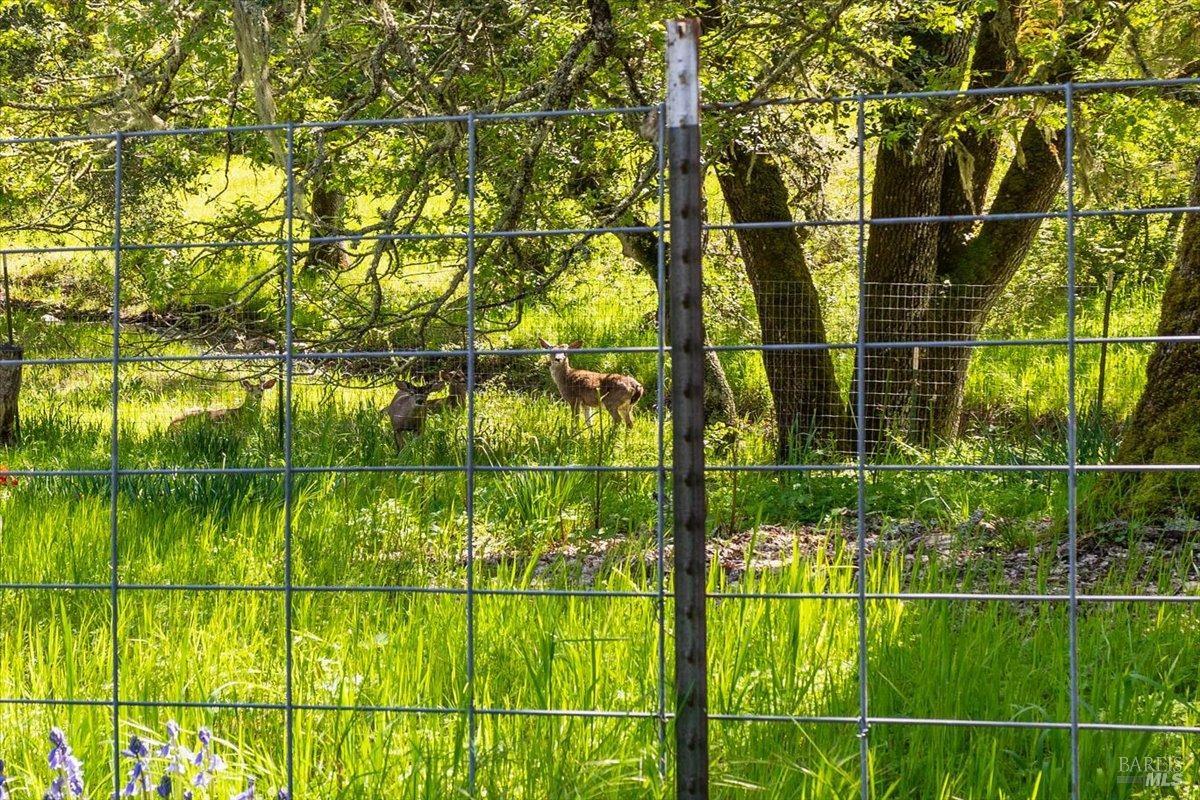 Detail Gallery Image 60 of 66 For 4820 Bennett Valley Rd, Santa Rosa,  CA 95404 - 6 Beds | 5 Baths