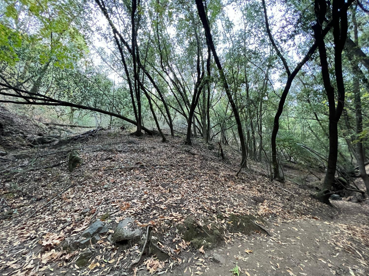 Detail Gallery Image 9 of 10 For 0 Cypress Dr, Fairfax,  CA 94930 - – Beds | – Baths