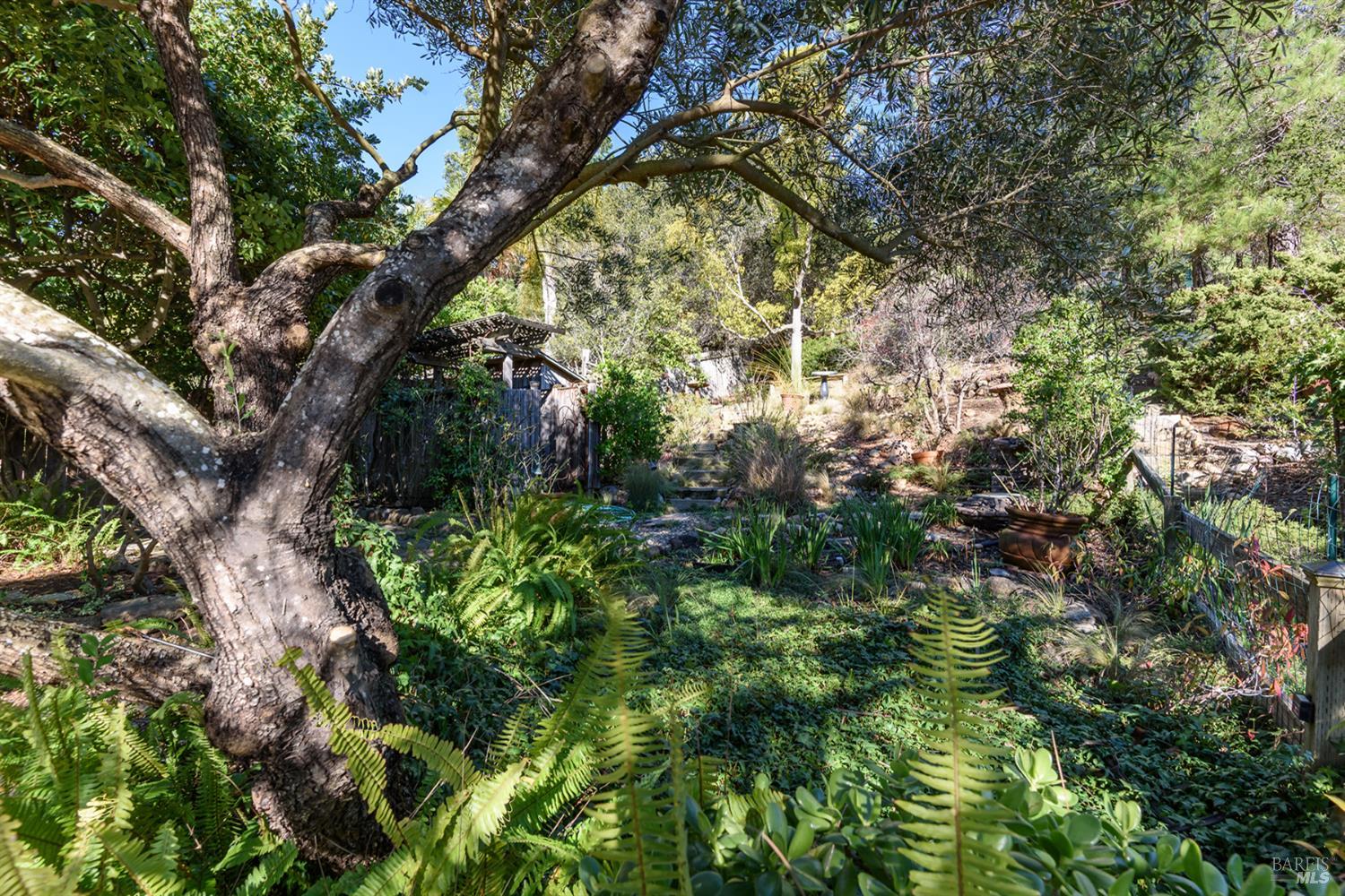 Detail Gallery Image 28 of 32 For 36 Shannon Ct, Novato,  CA 94949 - 4 Beds | 3 Baths