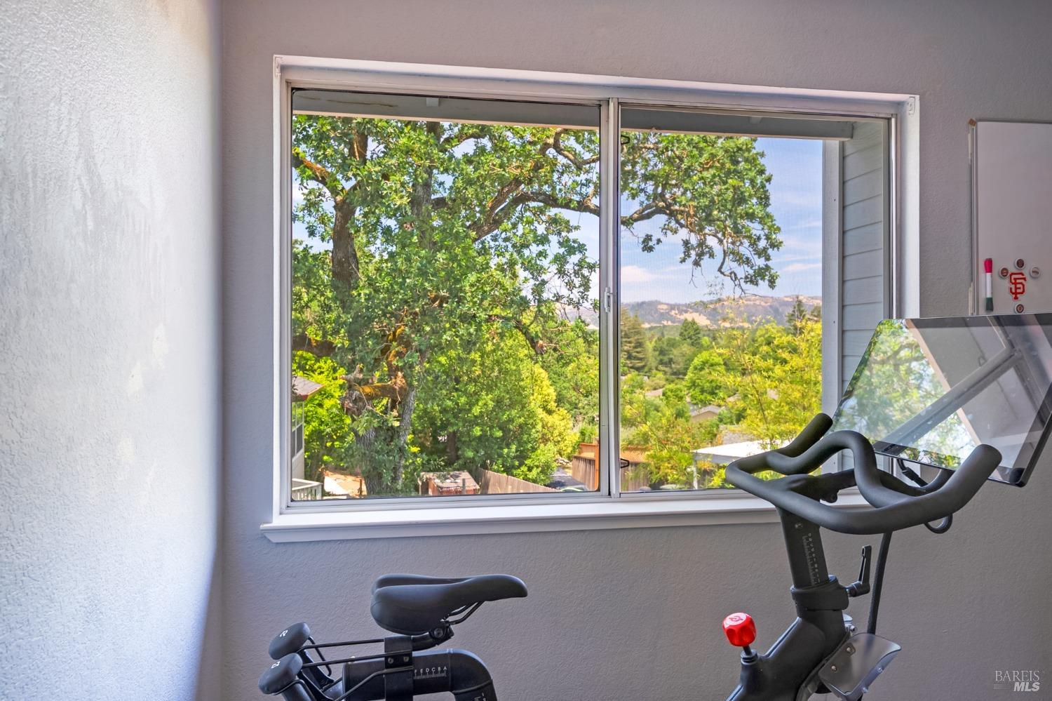 Detail Gallery Image 28 of 52 For 1508 Ronne Dr, Santa Rosa,  CA 95404 - 4 Beds | 3 Baths